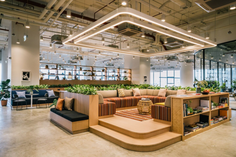 Planter Divider Ideas for You, Your Office, and Even Your Government ...