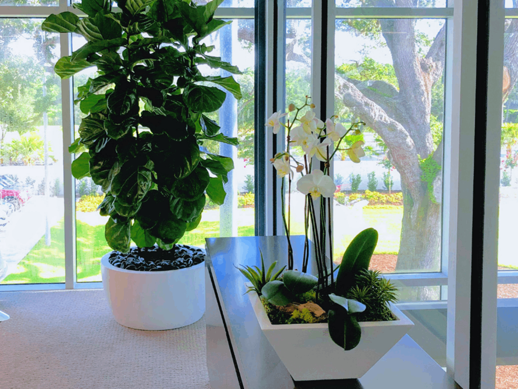 square planter on a table