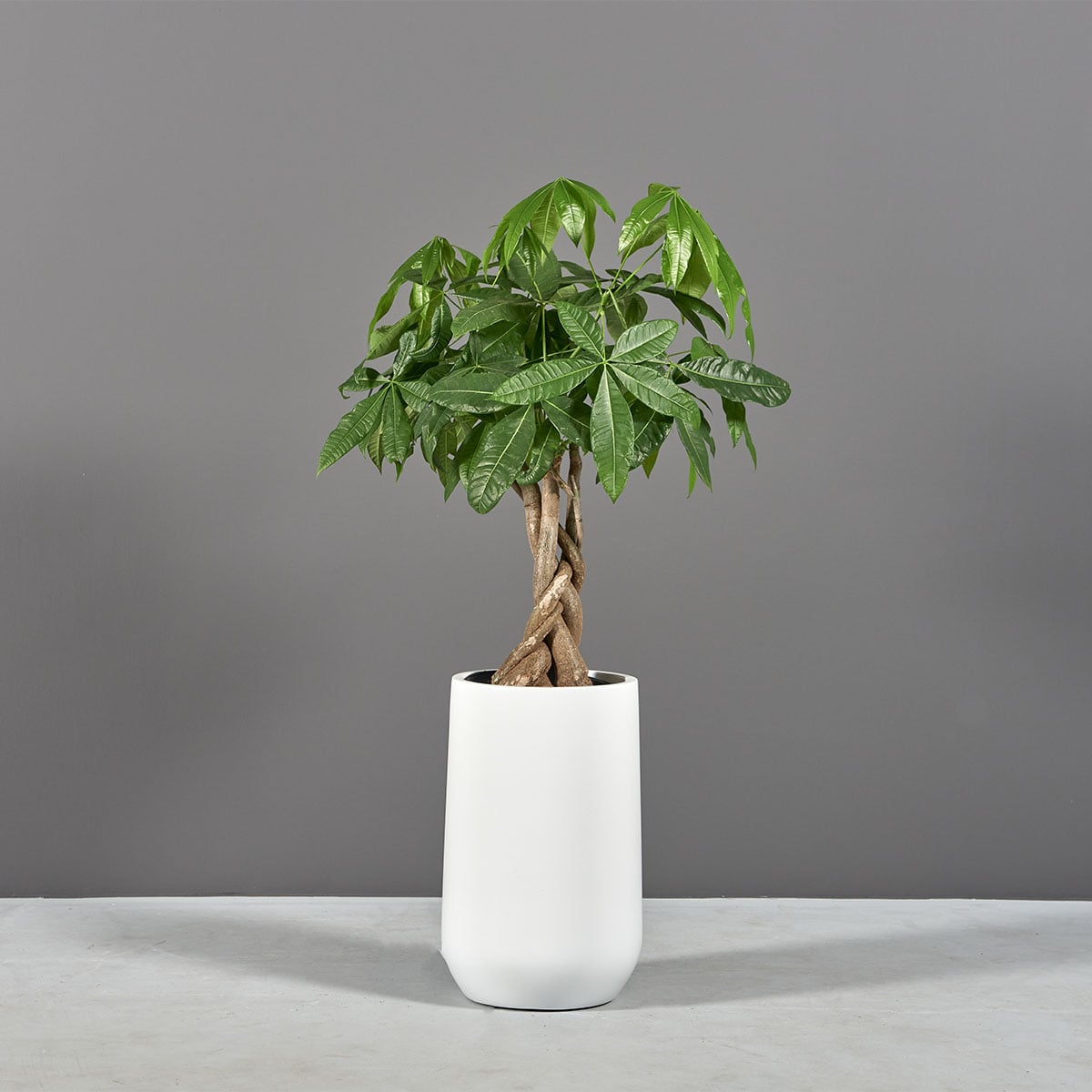 Hayden Tapered Round Planter - Image 2