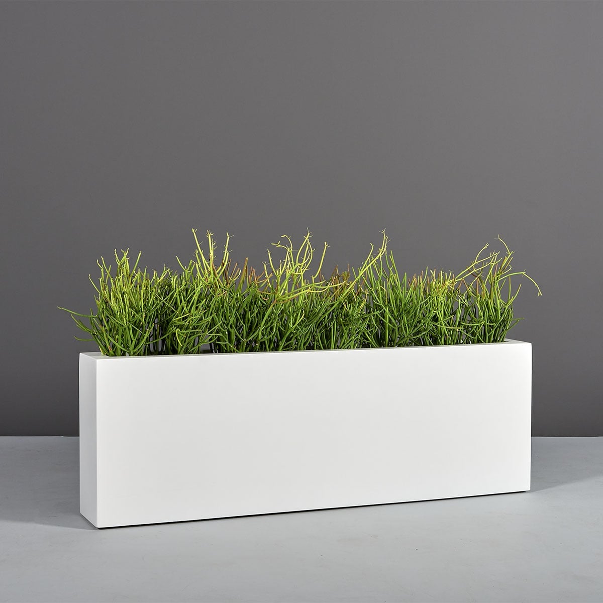 Camoux Narrow Rectangular Planter - Image 2
