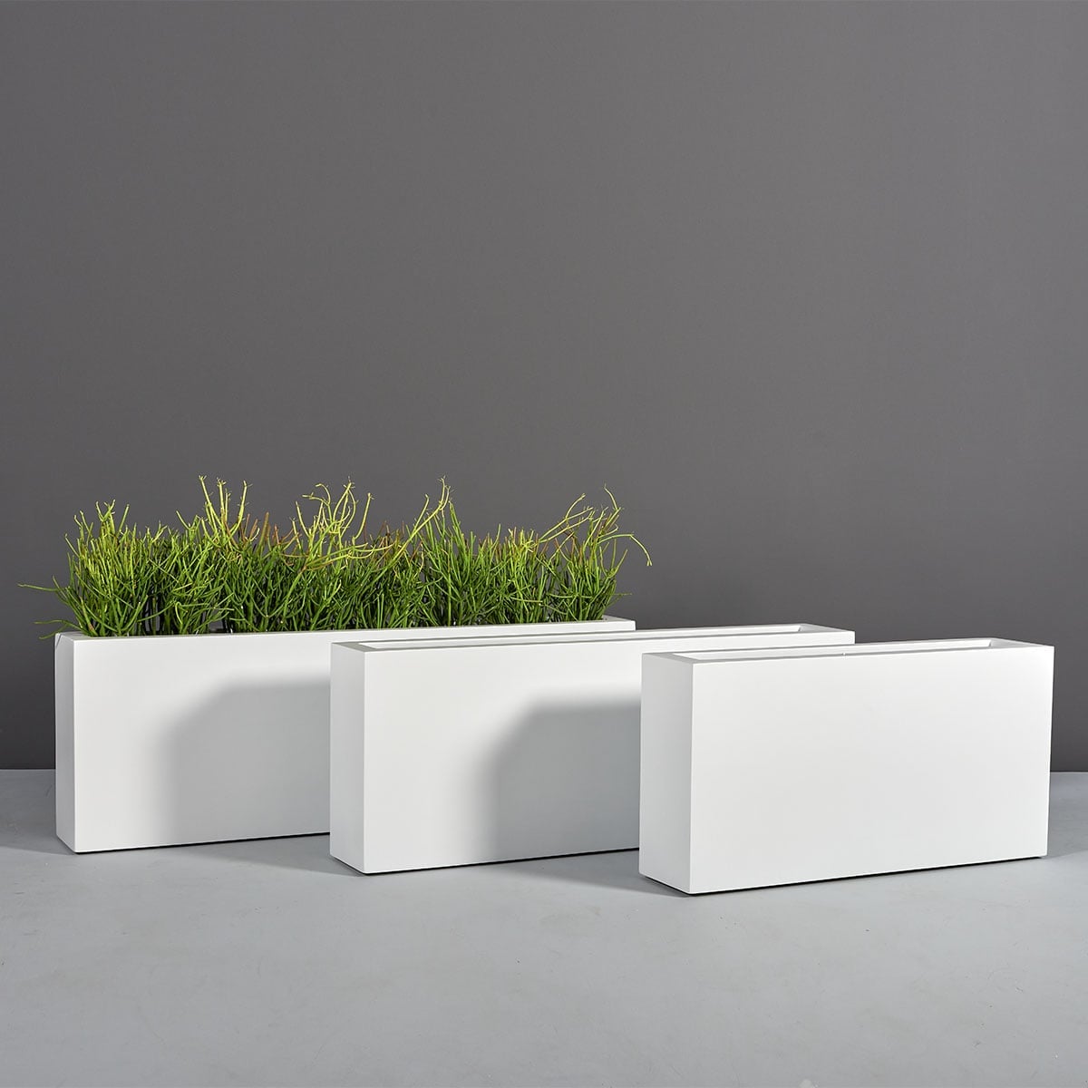 Camoux Narrow Rectangular Planter - Image 5