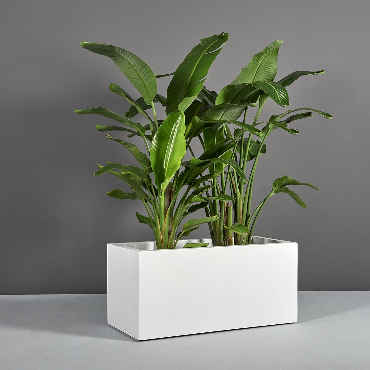 Badalona Rectangular Planter - Image 2