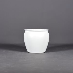 Shanghai Fishbowl Planter