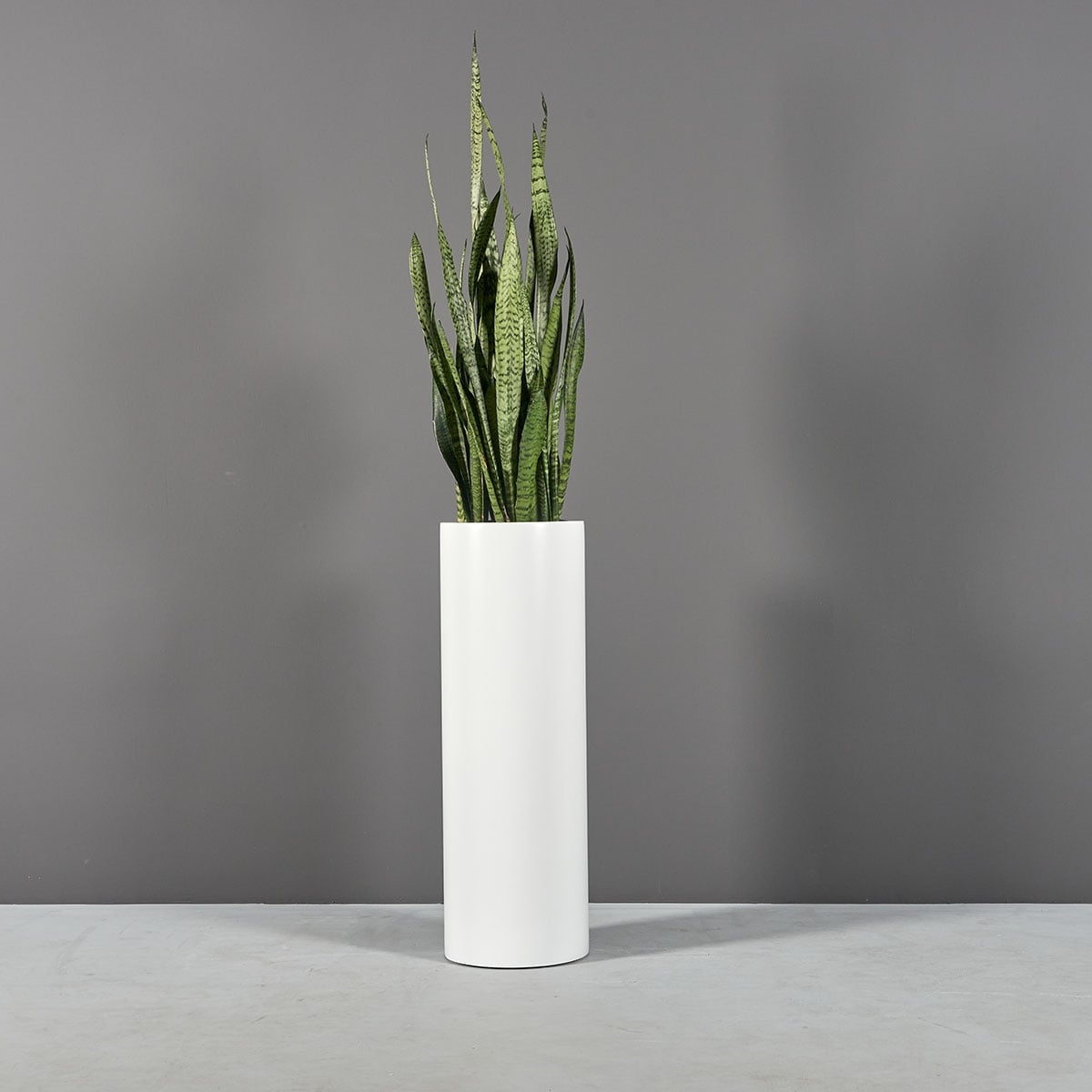 Corry Cylinder Planter - Image 2