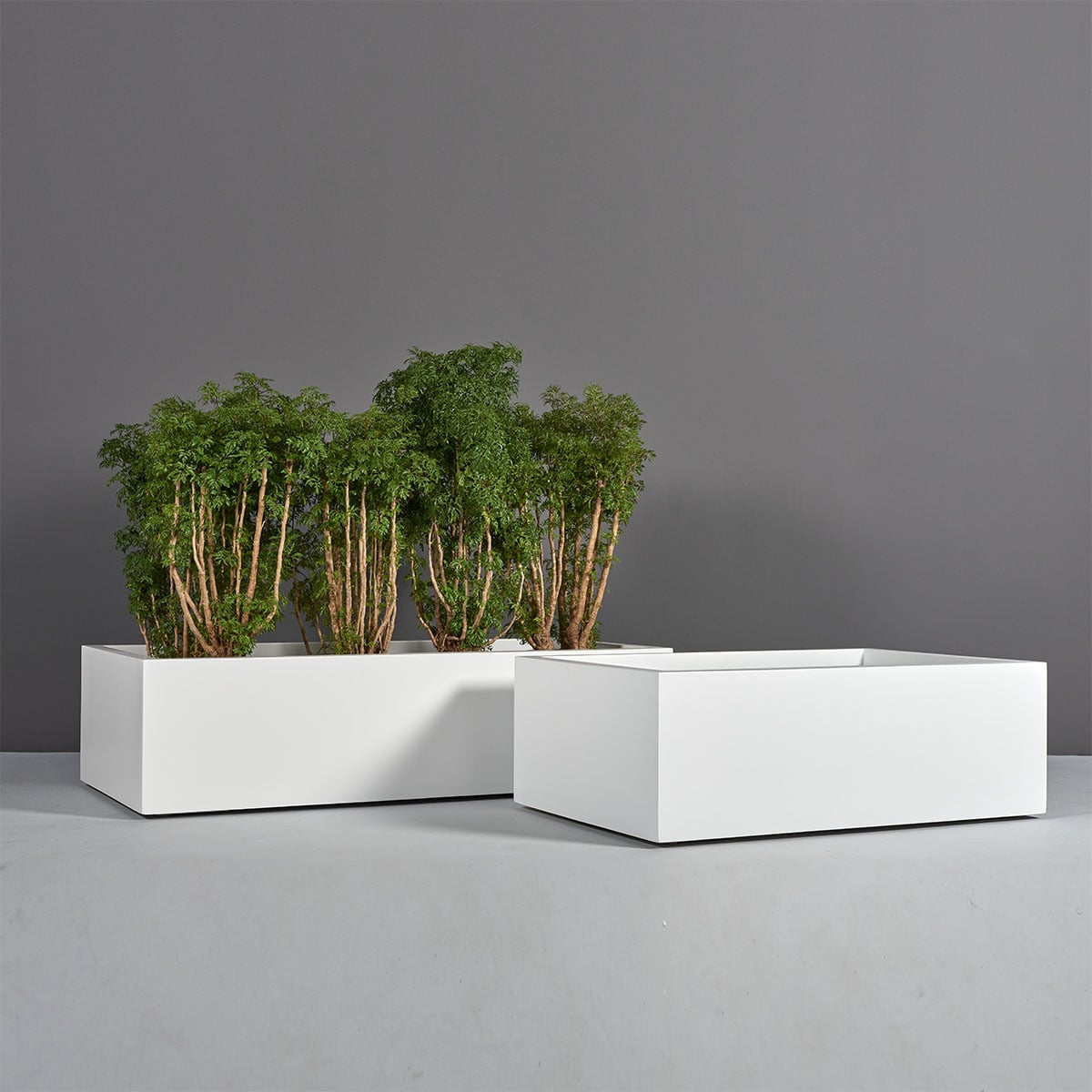 Antwerp Wide Rectangular Planter - Image 4