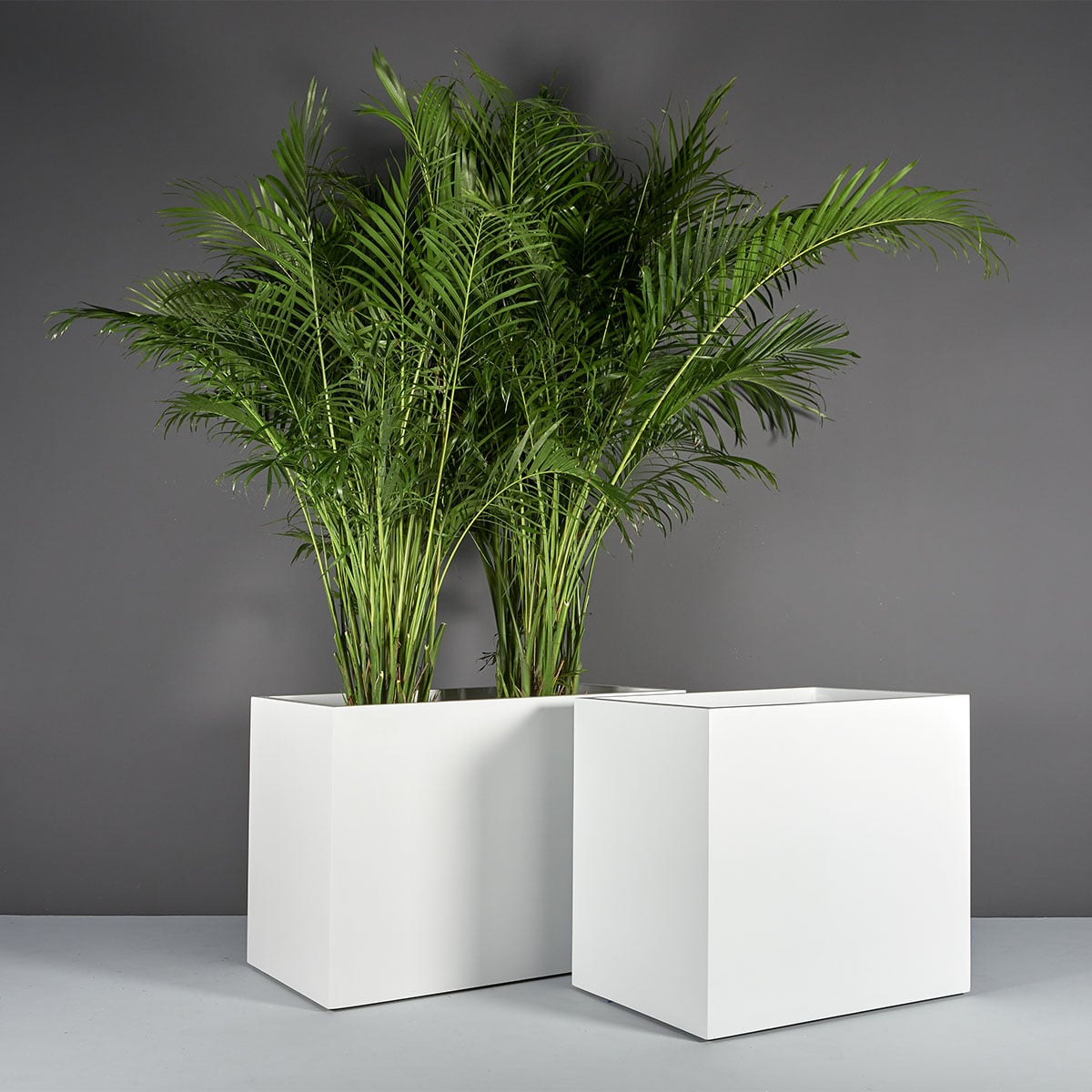Brisbane Wide Rectangular Planter - Image 4